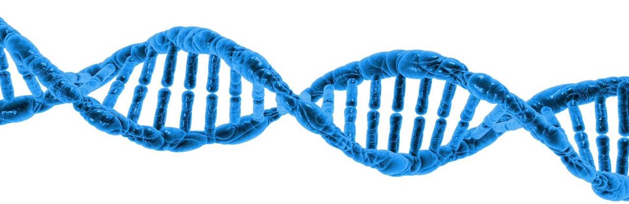 DNA