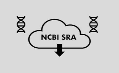 NCBI SRA in a cloud icon