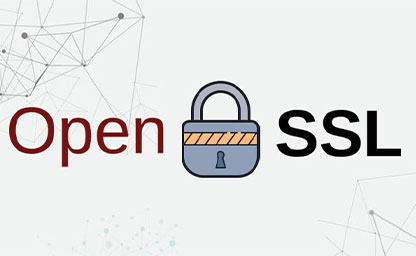 Logo of OpenSSL with a pedlock in the middle.
