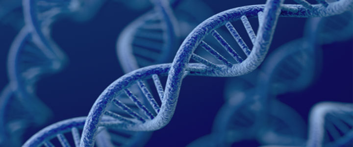 sample image of a DNA