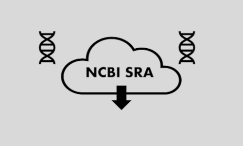sample image of ncbi sra